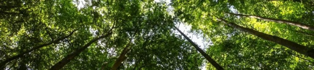 混凝土防水指南--結(jié)晶型防水外加劑的優(yōu)勢(shì) 4 4 3