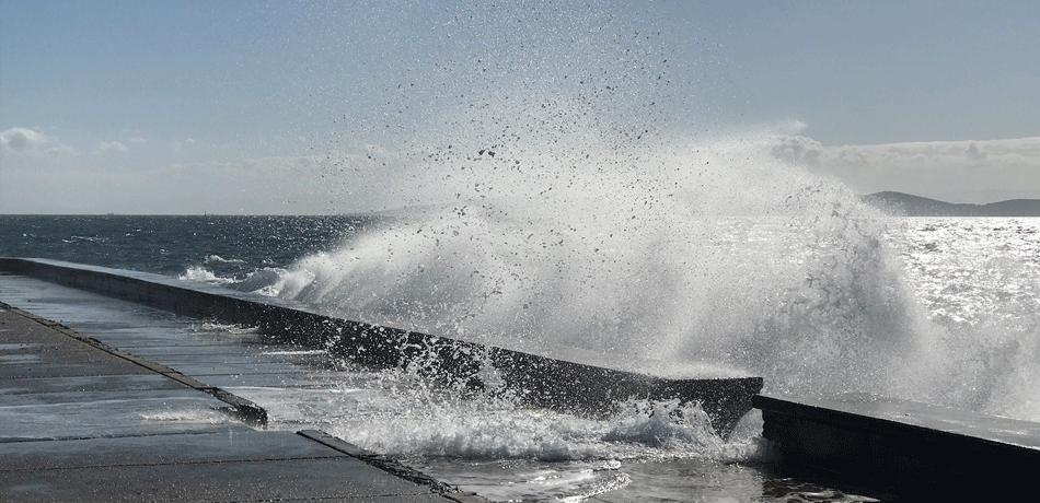 耐久性減滲外加劑